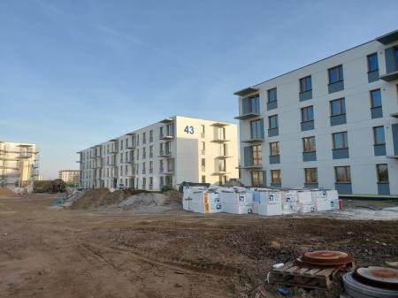 258002333-587557692508412-5204456475447830607-n